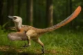 Velociraptor, dalle fantasie hollywoodiane alla realtà scientifica